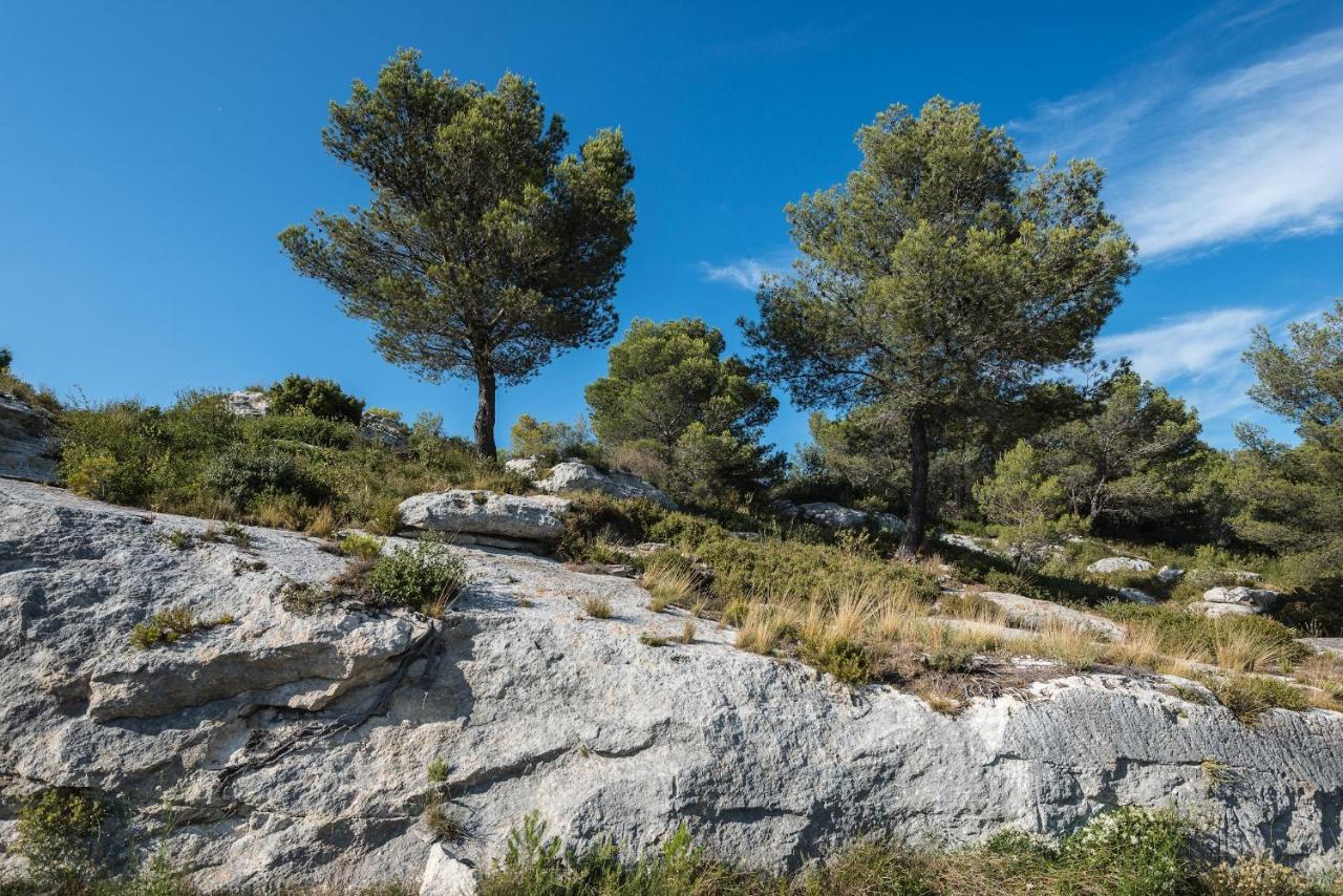 Mas Vidau Porte Des Alpilles *
